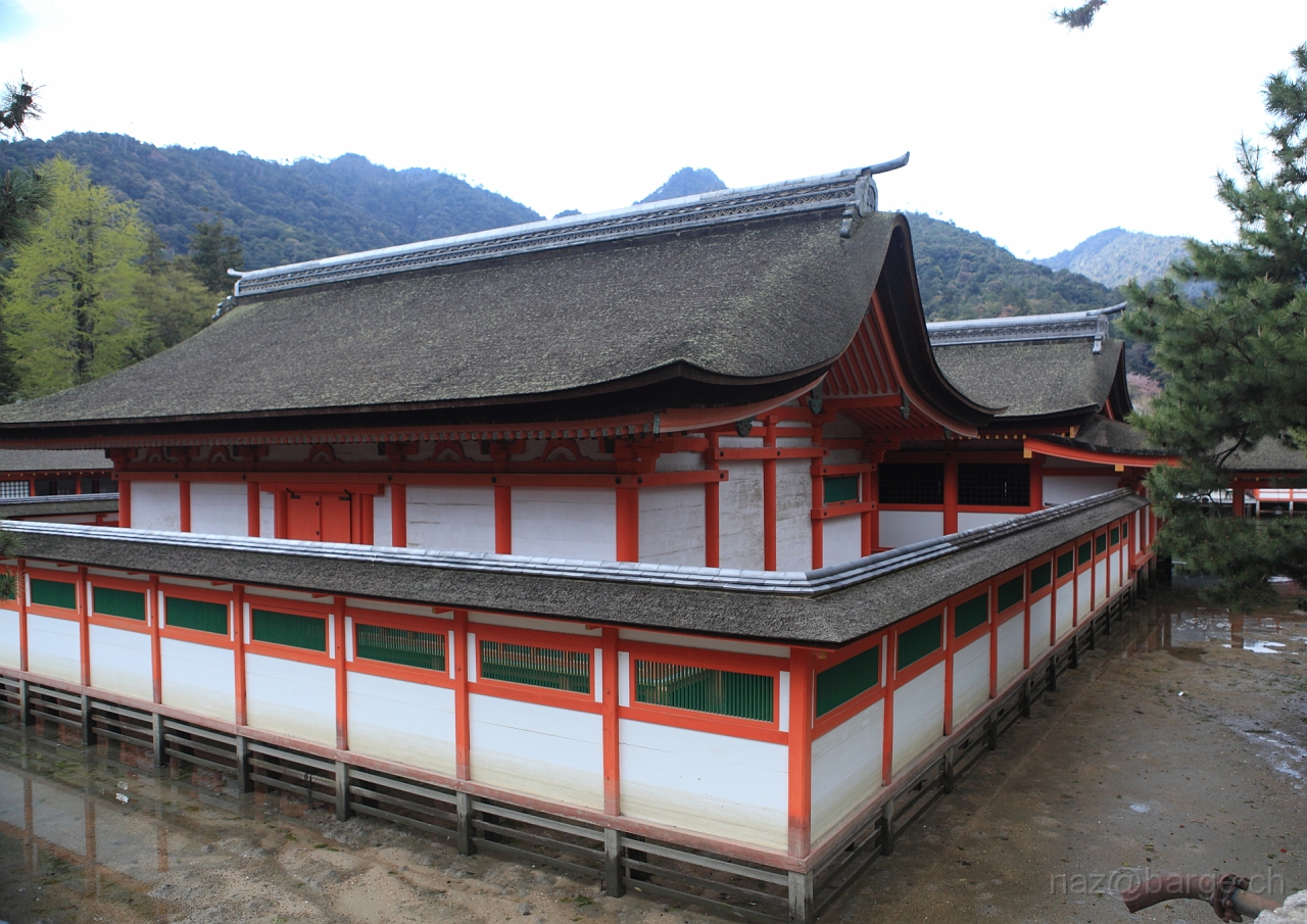 EOS 5D Mark II10_04_20134325.JPG